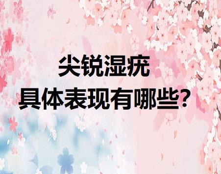 尖锐湿疣的具体表现到底有哪些?