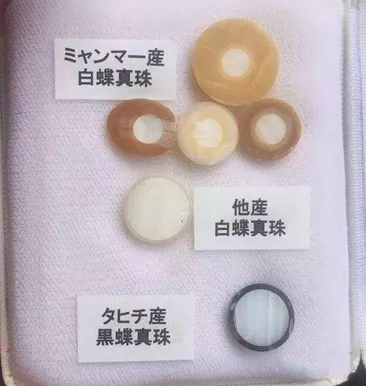 缅甸南洋金珠,珍珠界的王者