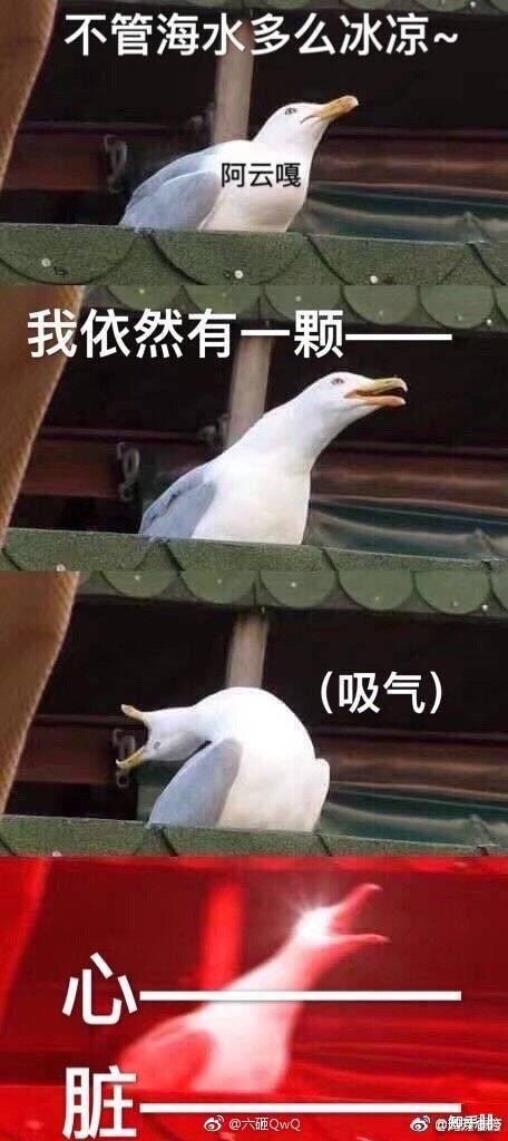 男票平时一本正经但是特别喜欢看沙雕视频和发沙雕表情包和他平时正经