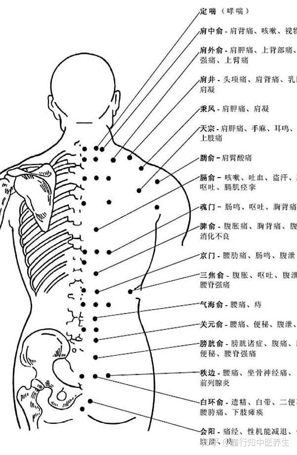 童行知中医养生|妈妈说:人体周身409个穴位名,830个穴位,有60个单穴