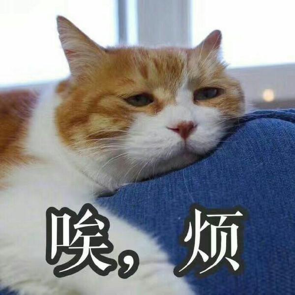 你有哪些关于猫狗的表情包?