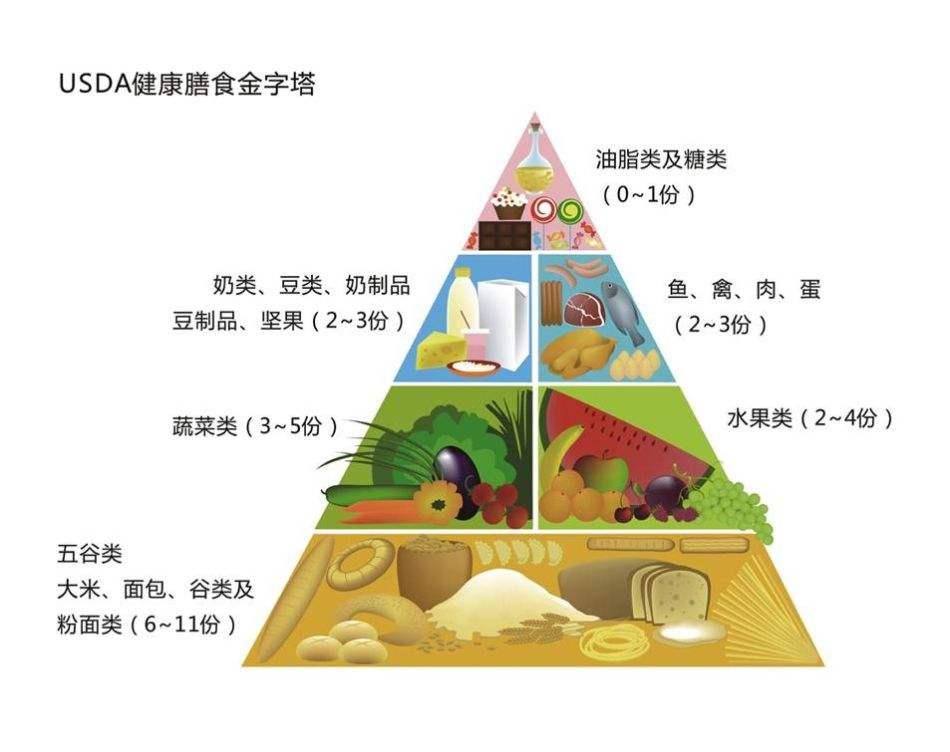 膳食金字塔,正在减肥的朋友有了解过吗?