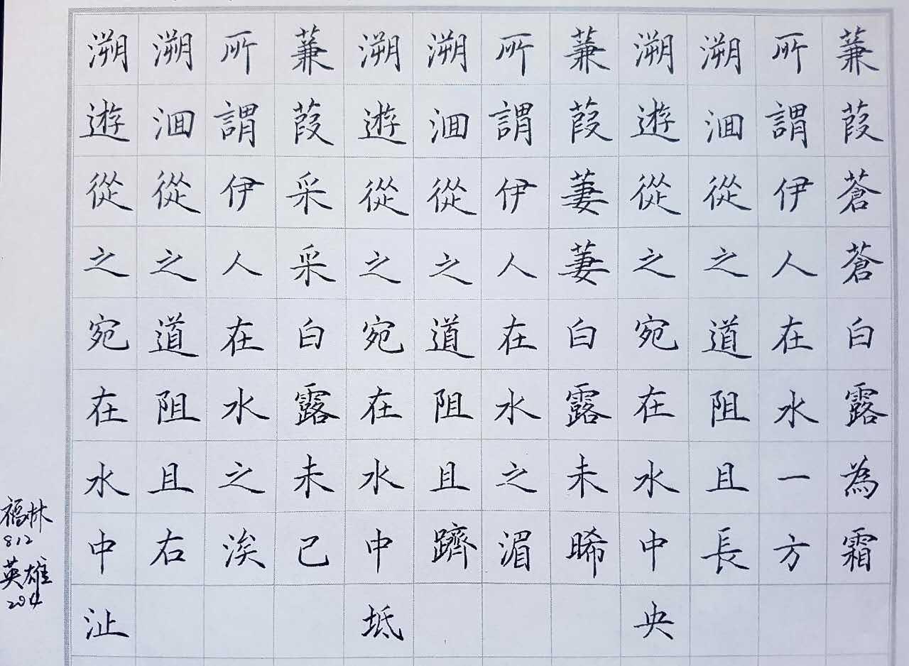 诗经《蒹葭》钢笔字笔友习作欣赏