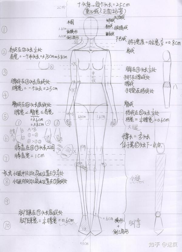 (正面站姿)人体手绘干货分享