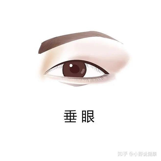 垂眼  