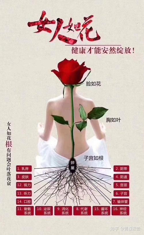 女人如花,脸是花朵,乳房是叶子,这盆花的根就是子宫和卵巢,假如根不太