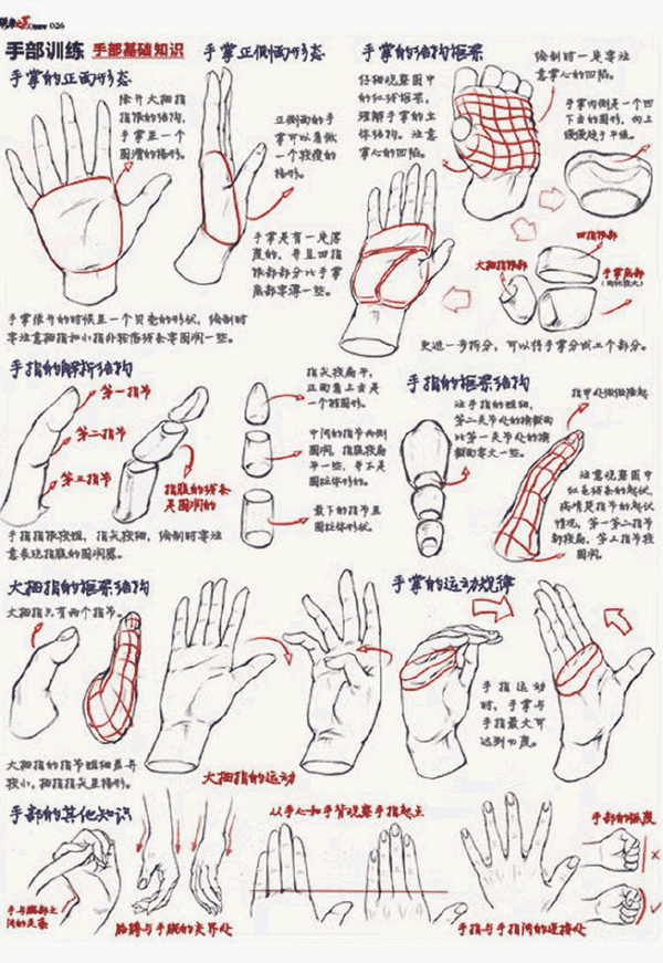 速写手部学会这样画,再也不愁啦,高分很快就到手