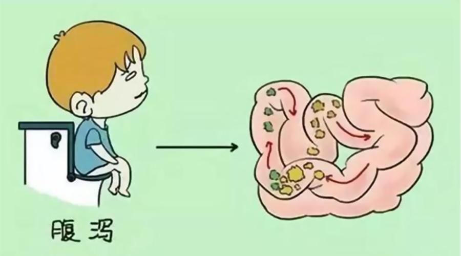 便秘腹泻都是肠道菌群失调的症状