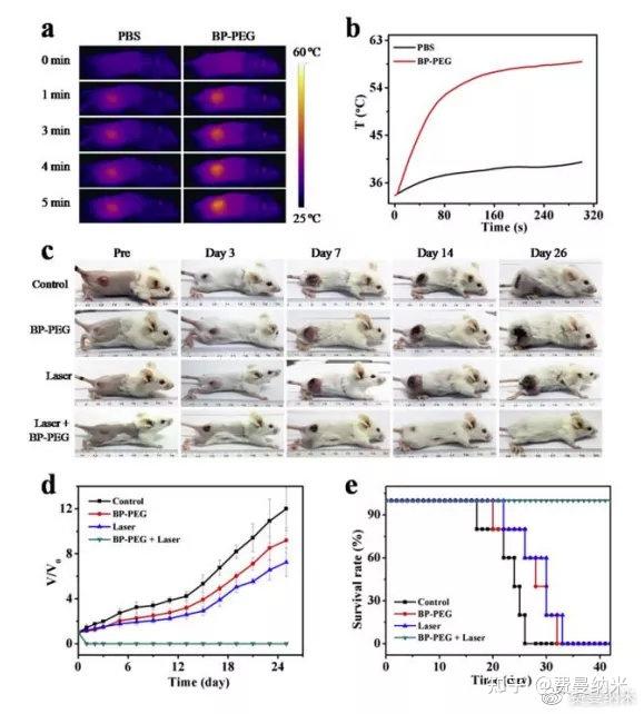 (a)4t1 肿瘤小鼠的热像图(b)4t1 肿瘤的小鼠的肿瘤温度变化图(c)不