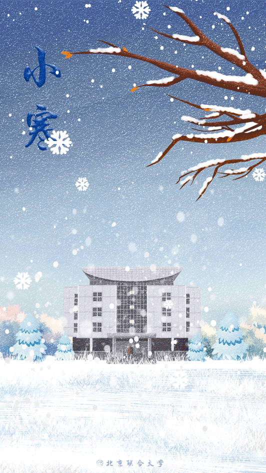 二十四节气中的第23个节气 冬季的第5个节气 至此 开始进入一年中最