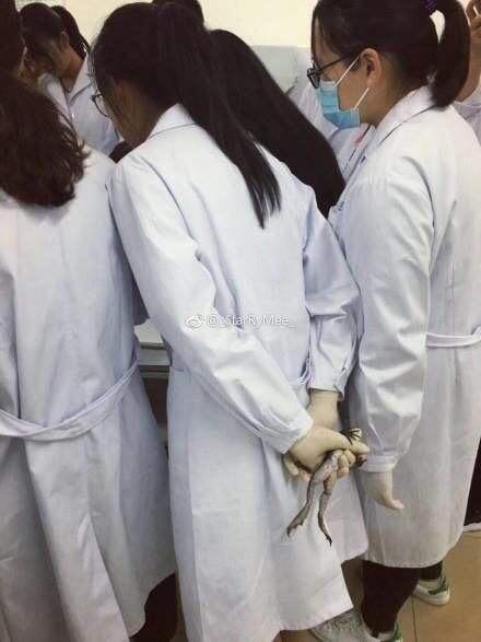 学医的女生有多可怕?