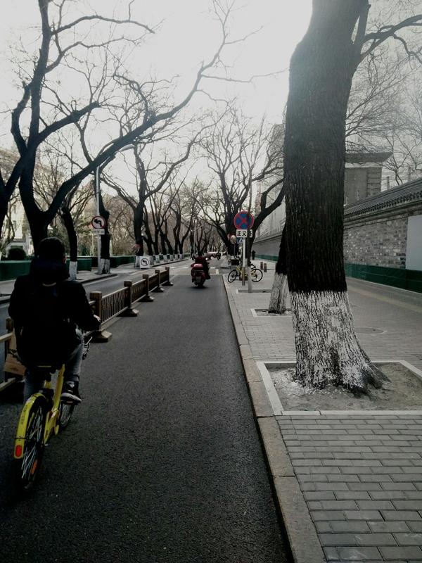 北京的一条街道,左边骑着小黄的是我高中死党,有阳光的北京的冬天还不