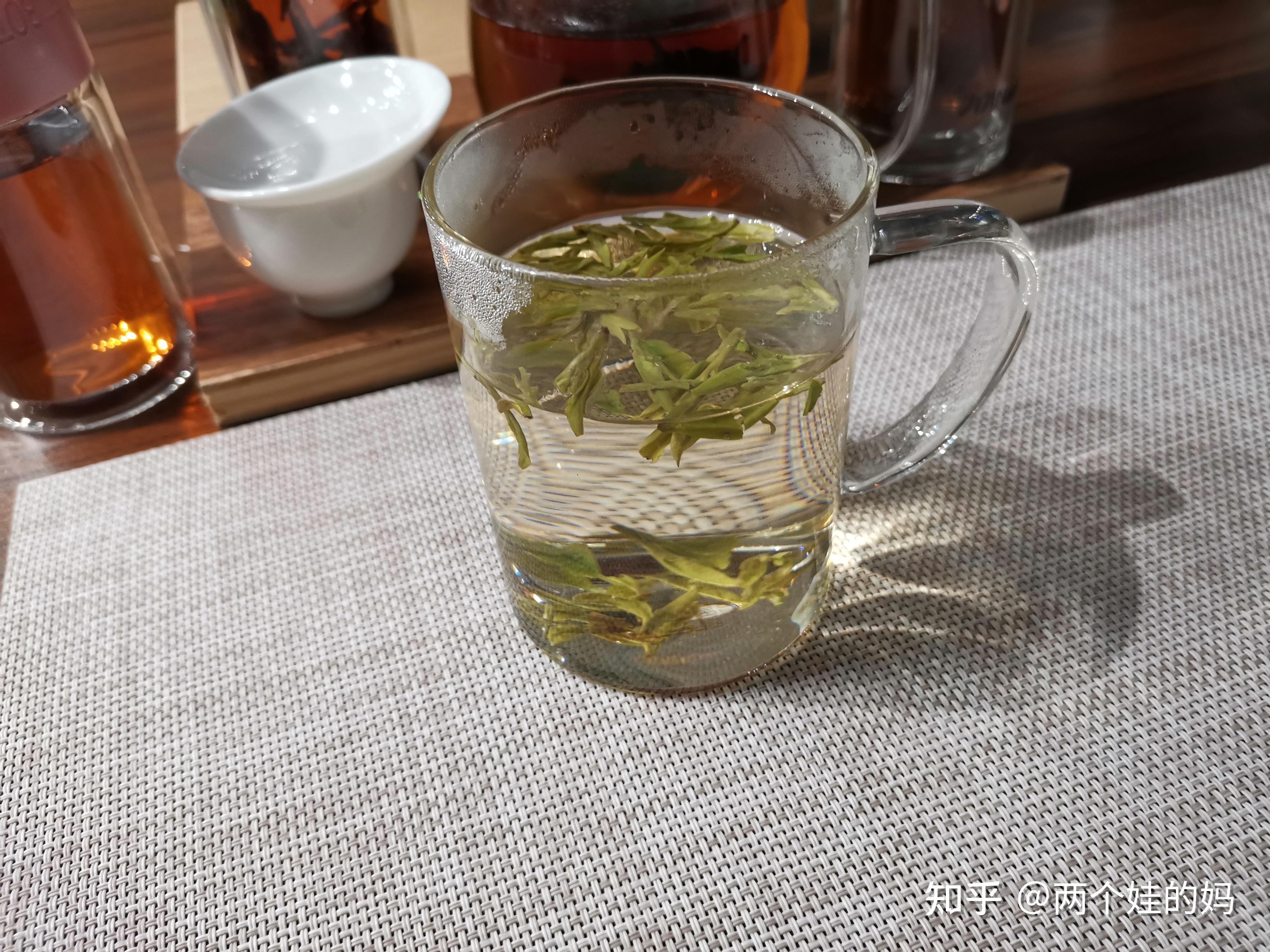 新手泡茶常见的四大问题分享一下我用过的五种类型的茶具