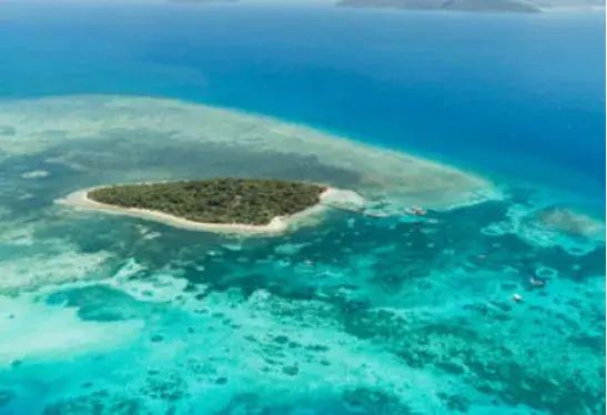 (mainland)或者岛屿(island)岸边(shore)生长发育,也称为裙礁和边缘礁