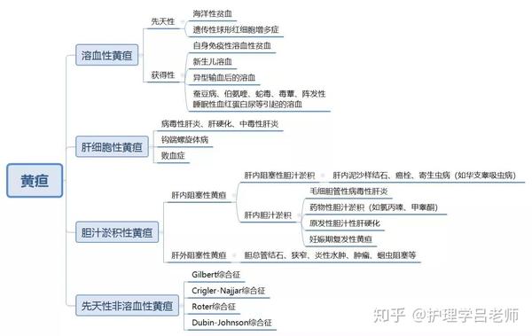 【诊断学思维导图及重点(二)】