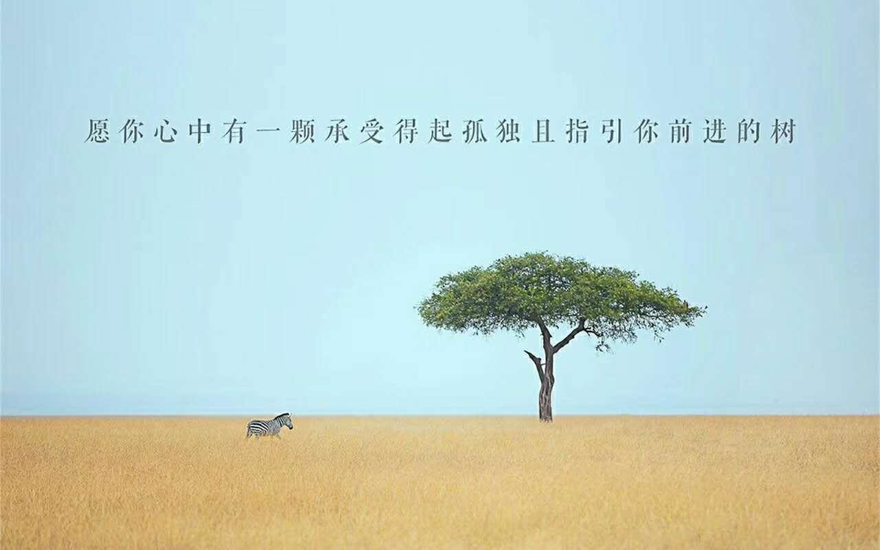 我的公考之路 3 人 赞同了该文章 2016年夏季,我