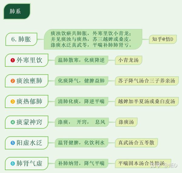 中医内科学思维导图肺系疾病肺胀