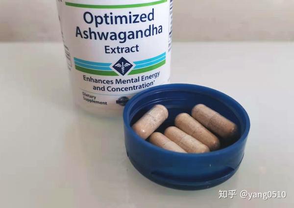 身心灵平衡之法宝8款阿育吠陀特色草本补剂分享