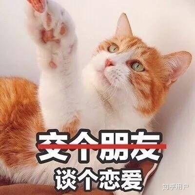 网恋奔现是种什么样的体验?