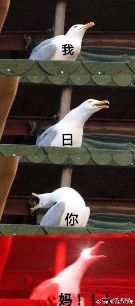 有哪些沙雕表情包?