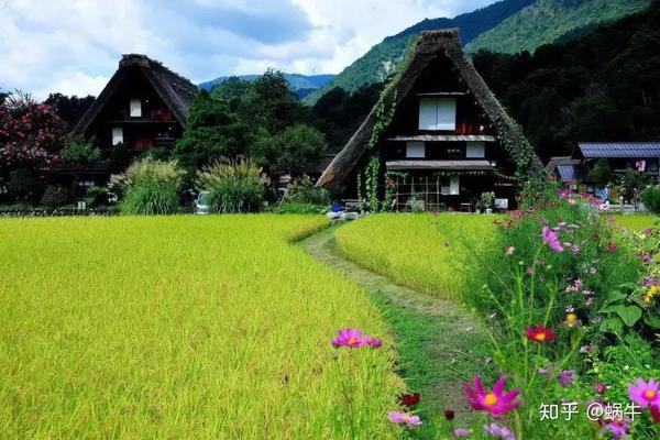 蜗牛分享 | 日本乡村振兴的实践与启示