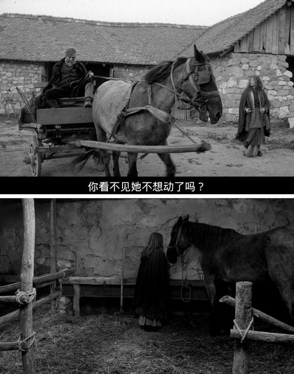 如何解读《都灵之马》?