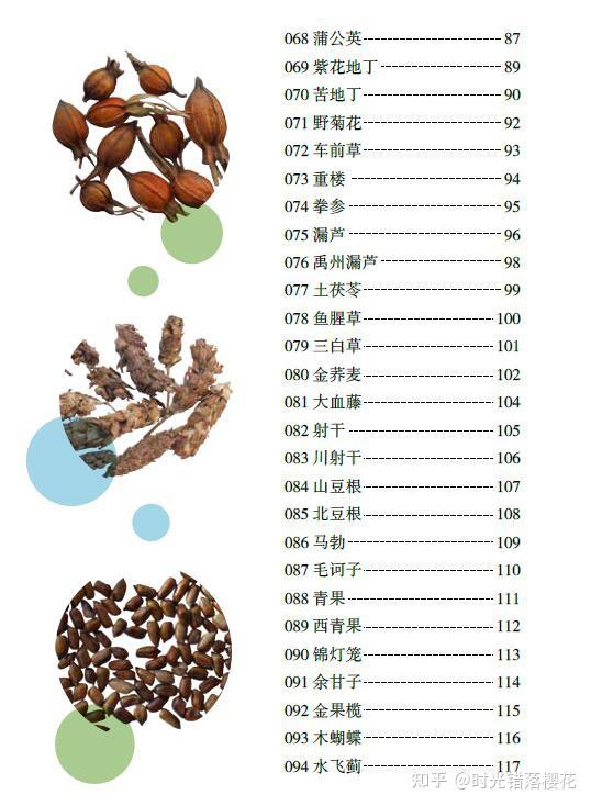 国家药典中药识别图鉴pdf让你了解中药材知识