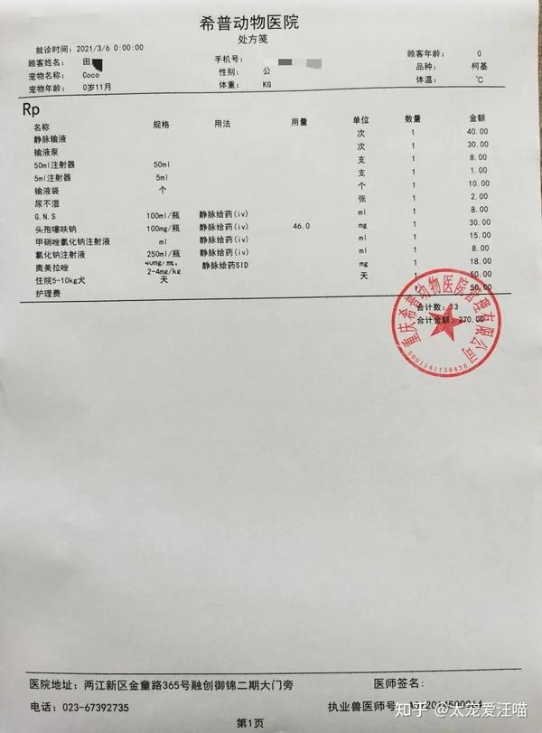 细小,犬冠状病毒感染 丨 太宠爱理赔案例 重庆希普动物医院