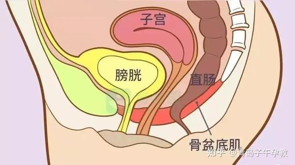 产后子宫脱垂怎么办?