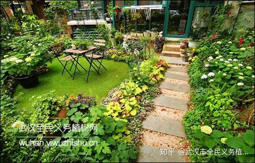 武汉花园家庭|她把梦想变成现实,50㎡小院花团锦簇,惊艳四邻!
