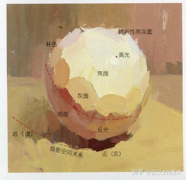 武汉209画室色彩苹果画法
