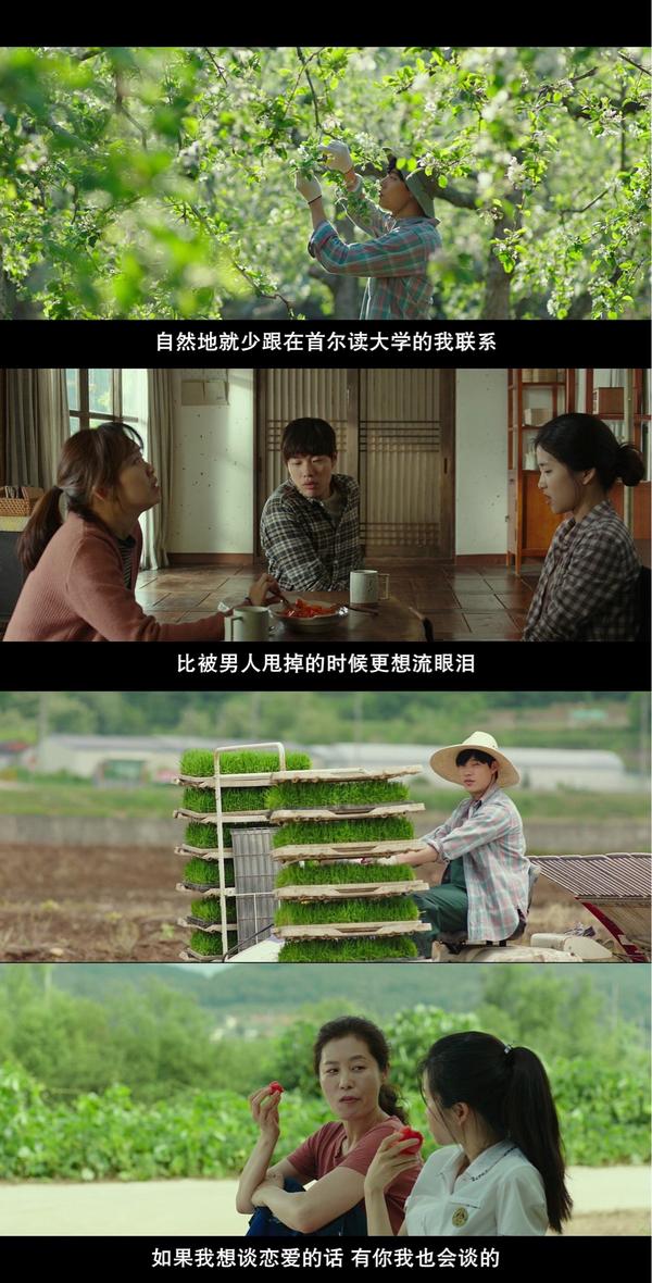 如何评价韩版电影《小森林?