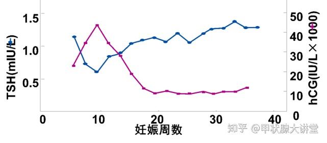 女性朋友在怀孕的时候,体内会分泌出人绒毛膜促性腺激素,即hcg.