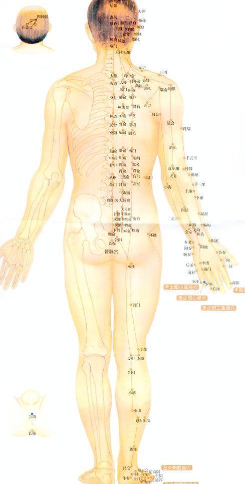 高清经络循行动画图人体所有穴位都在