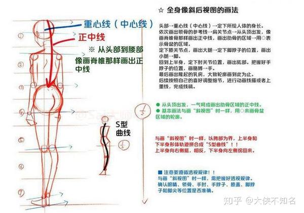 「推荐」2000字超详细教你如何画人体!闲着也是闲着,学起