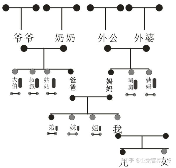 以树根宝塔形式描绘你的家谱图腾,你能填到几代?