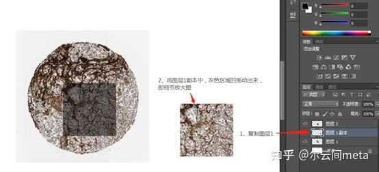 人类高质量科研图片生信sci免疫组化细节放大图绘制手把手教会你