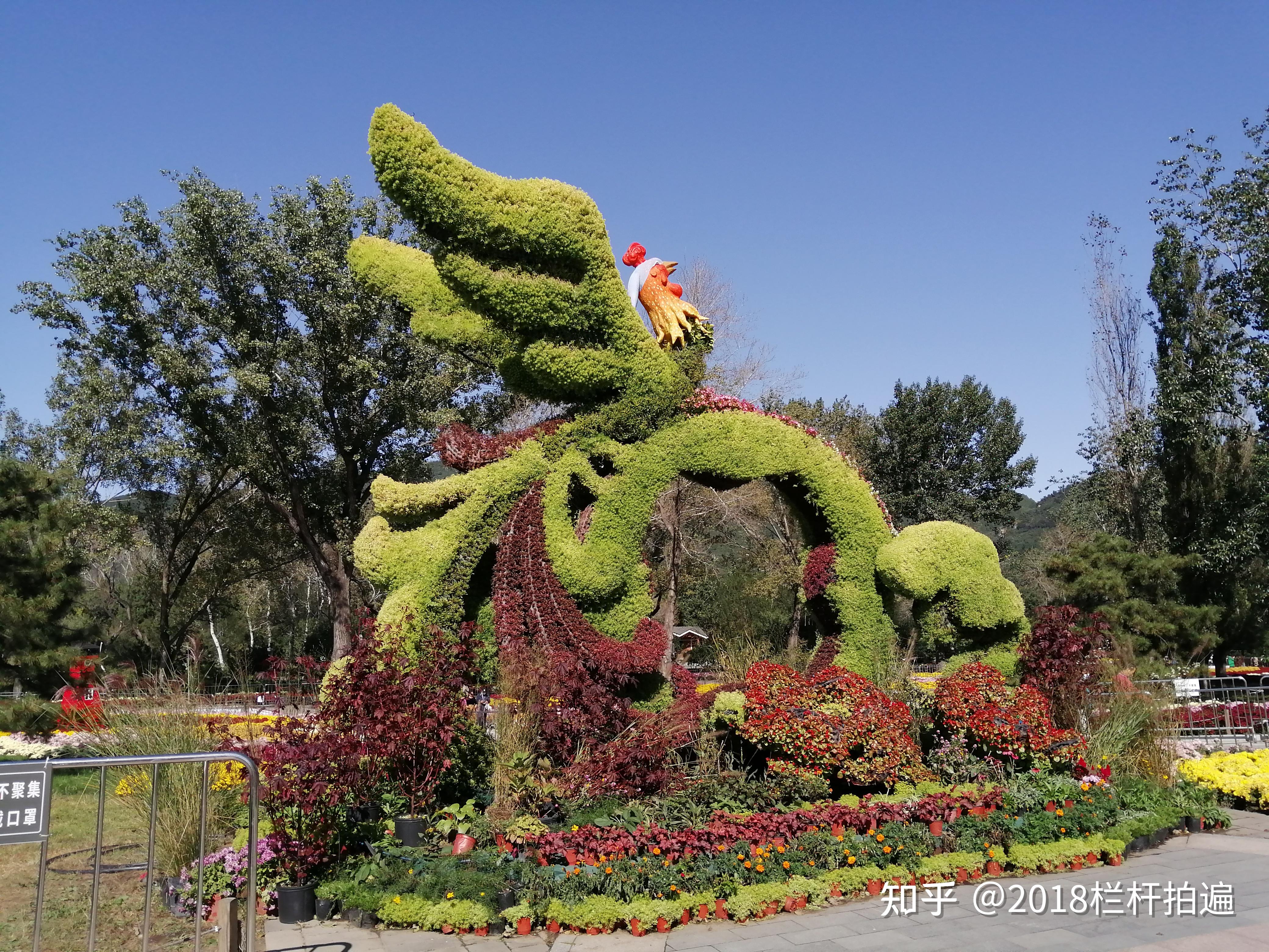 北京即将更名的北京植物园