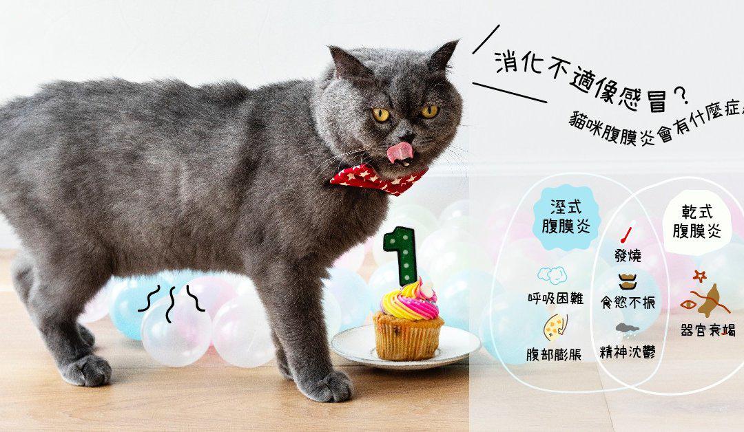 由於一般猫咪大多带有冠状病毒, 当猫咪受到感染或环境给的压力,就有