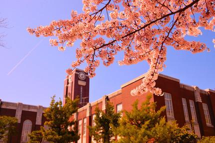 【京都大学経済学部】