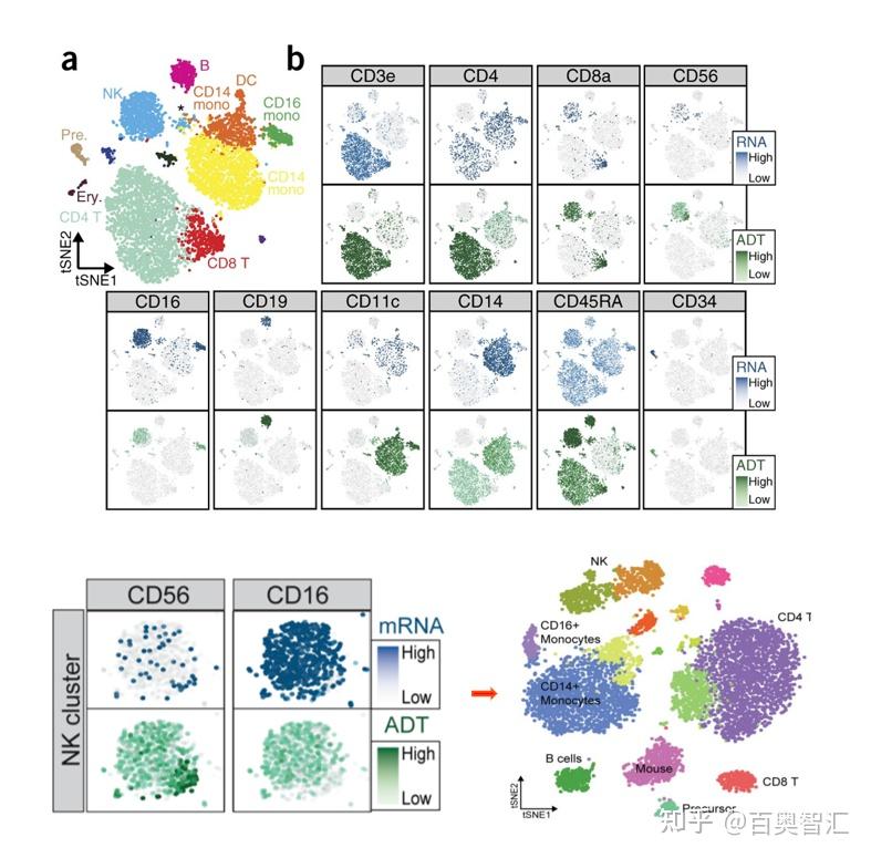 Cite Seq