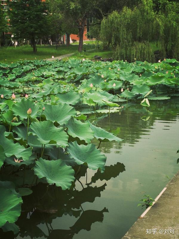 中国计量大学,坐落在杭州,国字号,宿舍环境好,工科也不错.