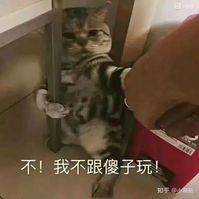 说一个没有十年脑血栓问不出来的问题