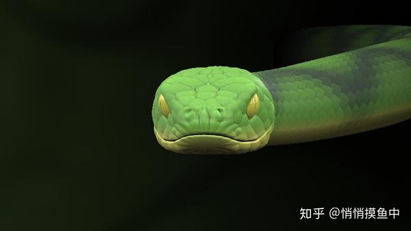 使用了多项式平滑的蛇头