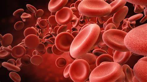 输血依赖性β地中海贫血基因疗法beticel于fda提交上市申请