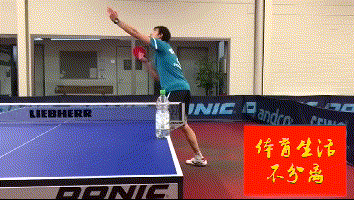 乒乓球三维旋转球的飞行弧线1