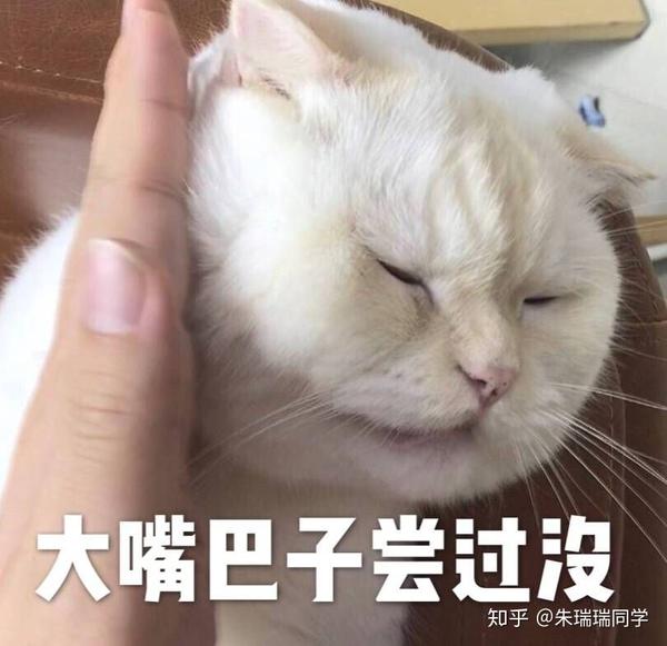 沙雕女孩的快乐表情包