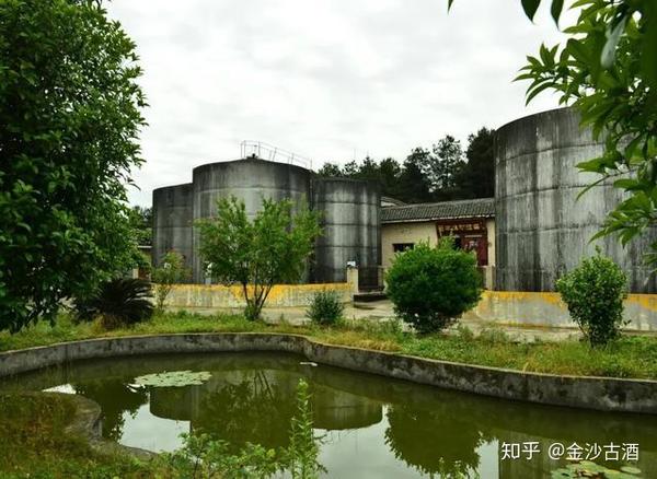 这杯酱酒敬绿水青山金沙古酒