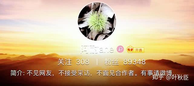 如何评价作家阿耐