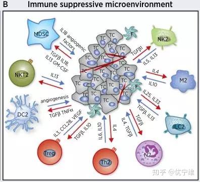 流式在肿瘤微环境,肿瘤免疫中的应用